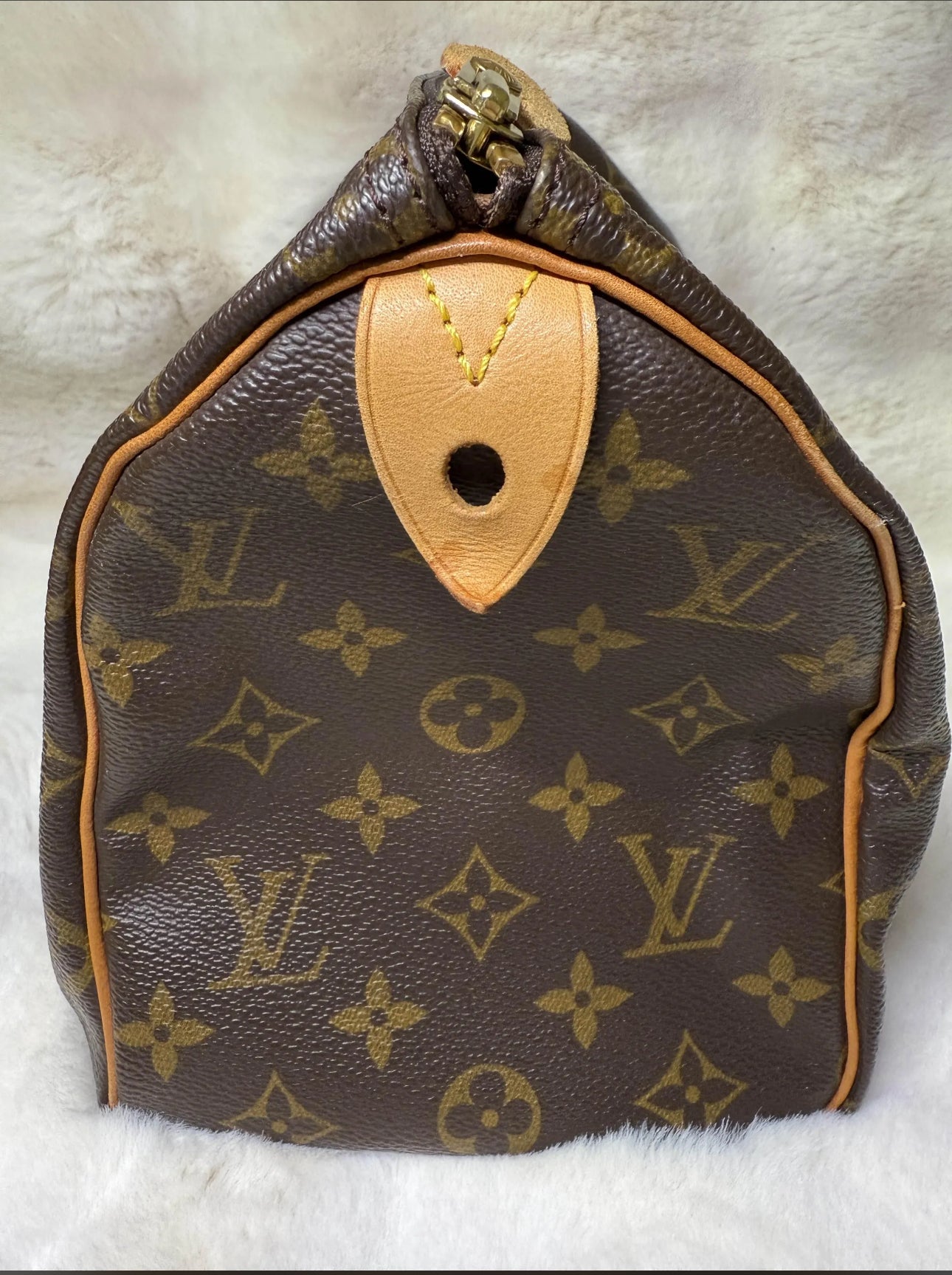 Louis Vuitton Monogram Speedy 25