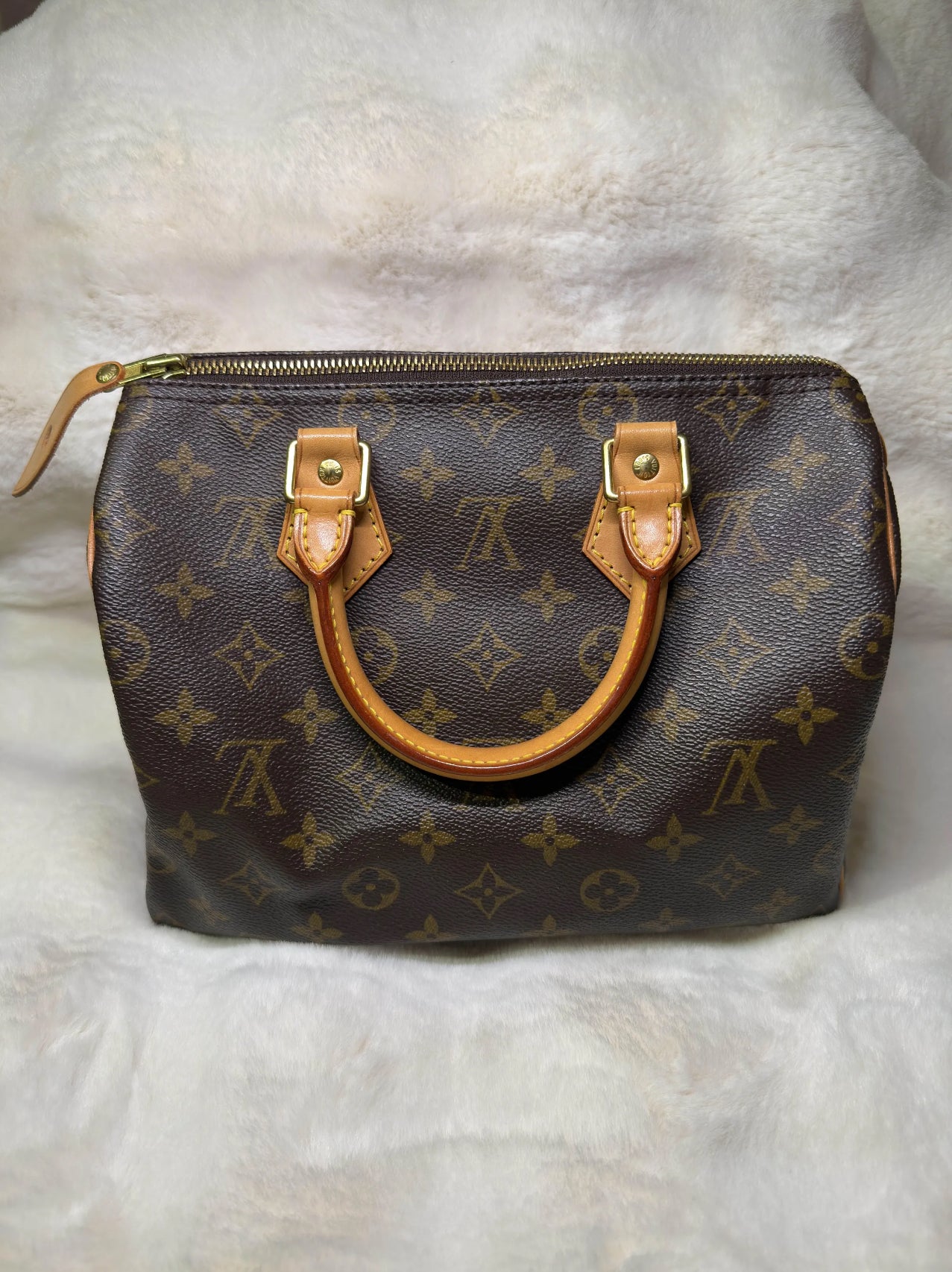 Louis Vuitton Monogram Speedy 25