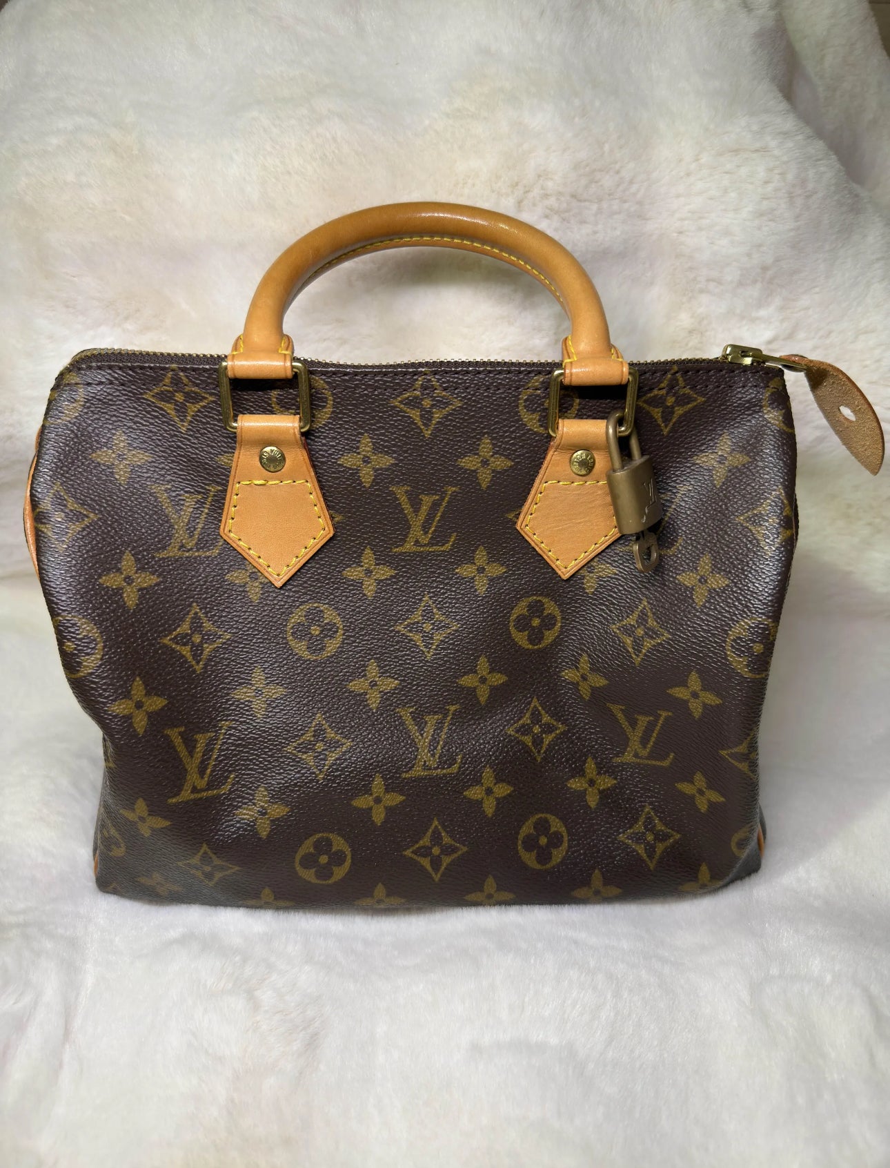Louis Vuitton Monogram Speedy 25